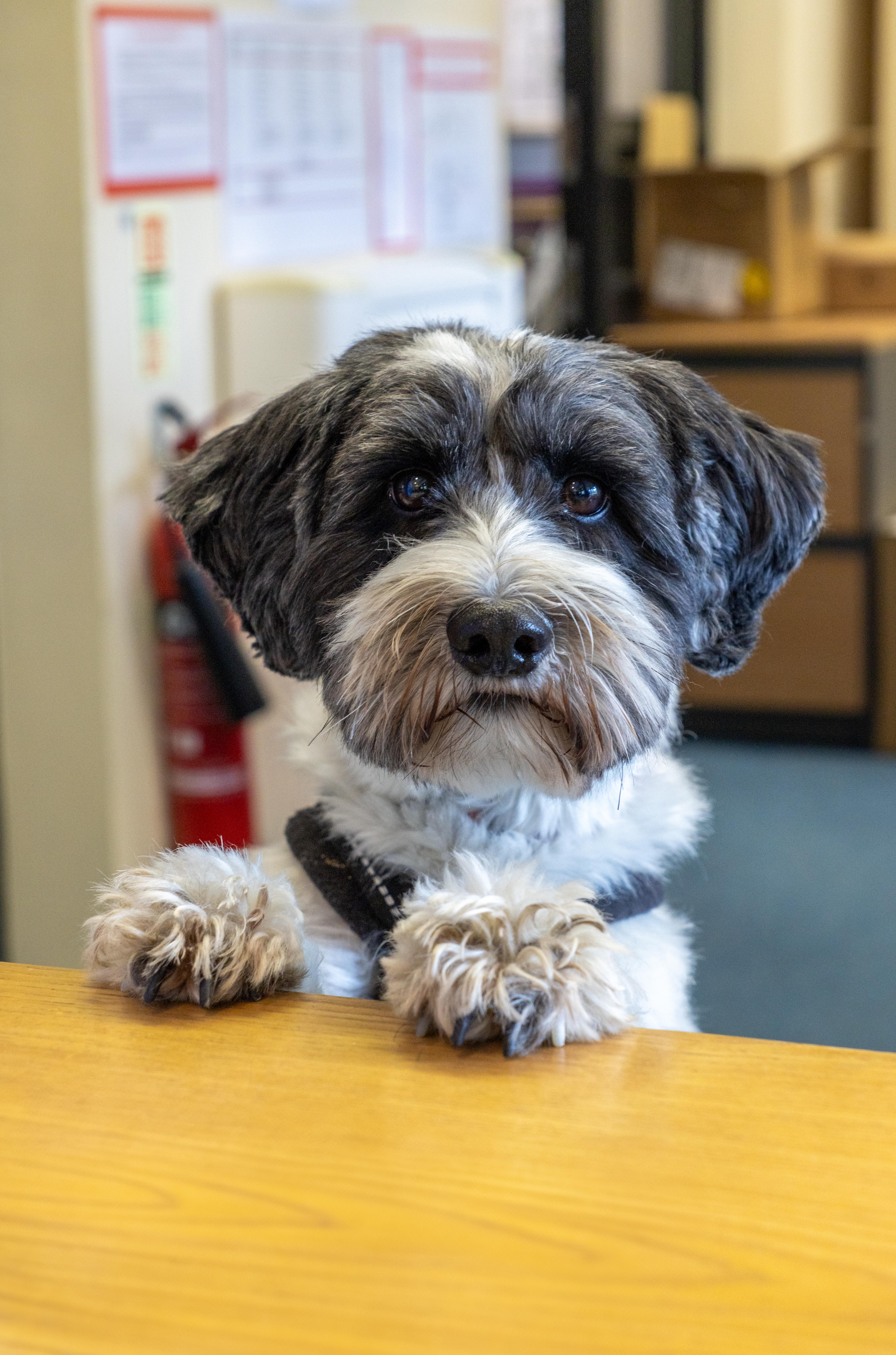 Bingley is an important part of wellbeing at our school.